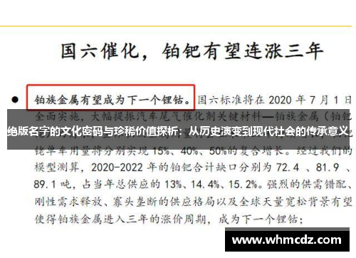 绝版名字的文化密码与珍稀价值探析：从历史演变到现代社会的传承意义