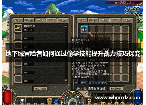 地下城冒险者如何通过偷学技能提升战力技巧探究