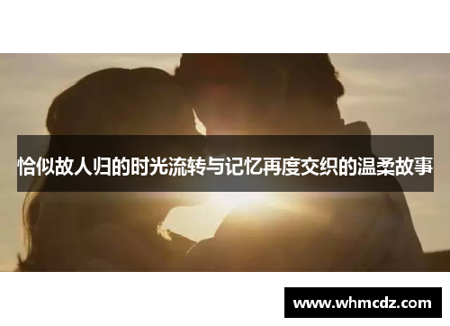 恰似故人归的时光流转与记忆再度交织的温柔故事