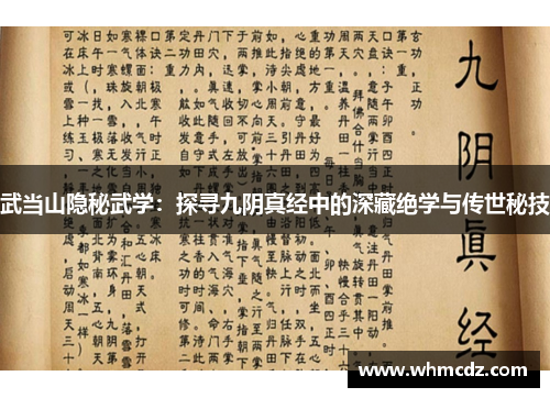 武当山隐秘武学：探寻九阴真经中的深藏绝学与传世秘技
