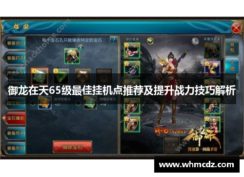 御龙在天65级最佳挂机点推荐及提升战力技巧解析