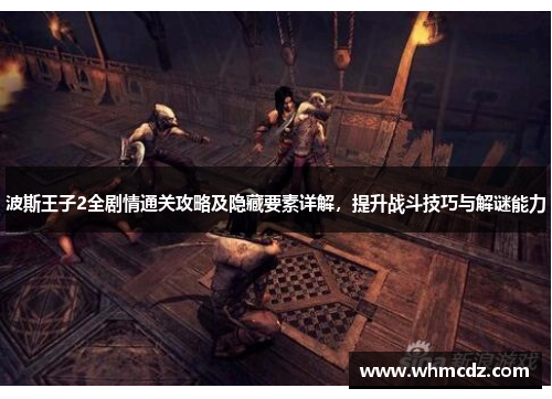 波斯王子2全剧情通关攻略及隐藏要素详解，提升战斗技巧与解谜能力